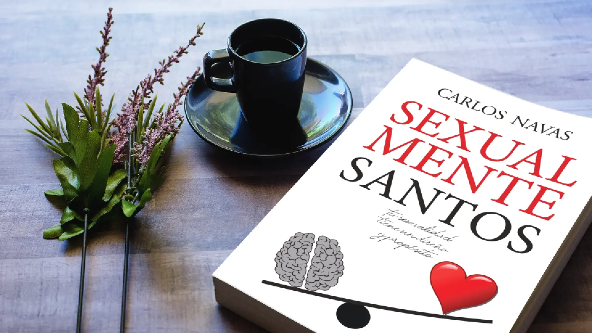 Proyecto Sexualmente Santos